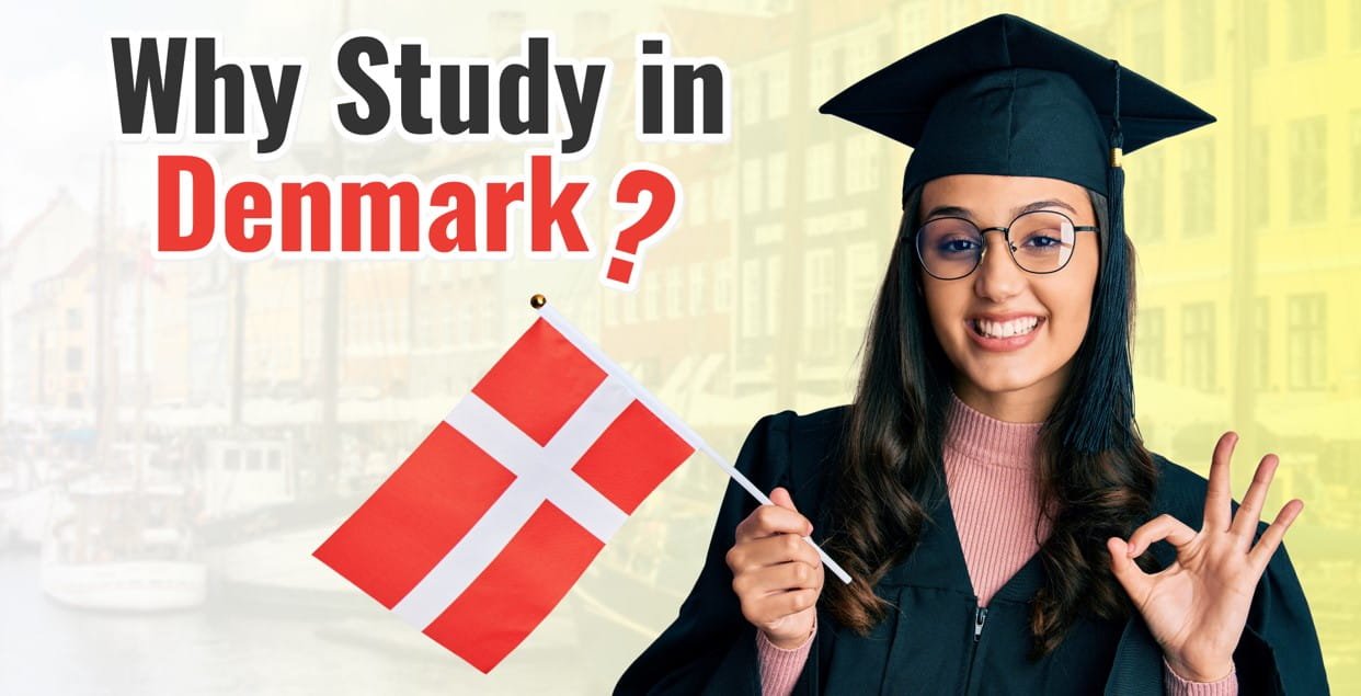 6 top reasons why you should study in denmark